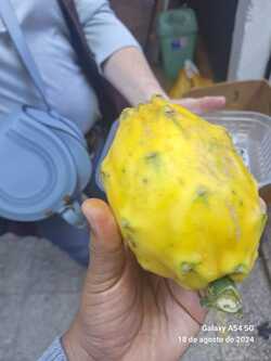 WhatsApp Image 2024-08-19 at 2.31.39 PM (2) (1)